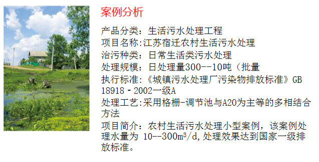 农村生活污水处理工程(图2)